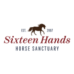 sixteen hands logo